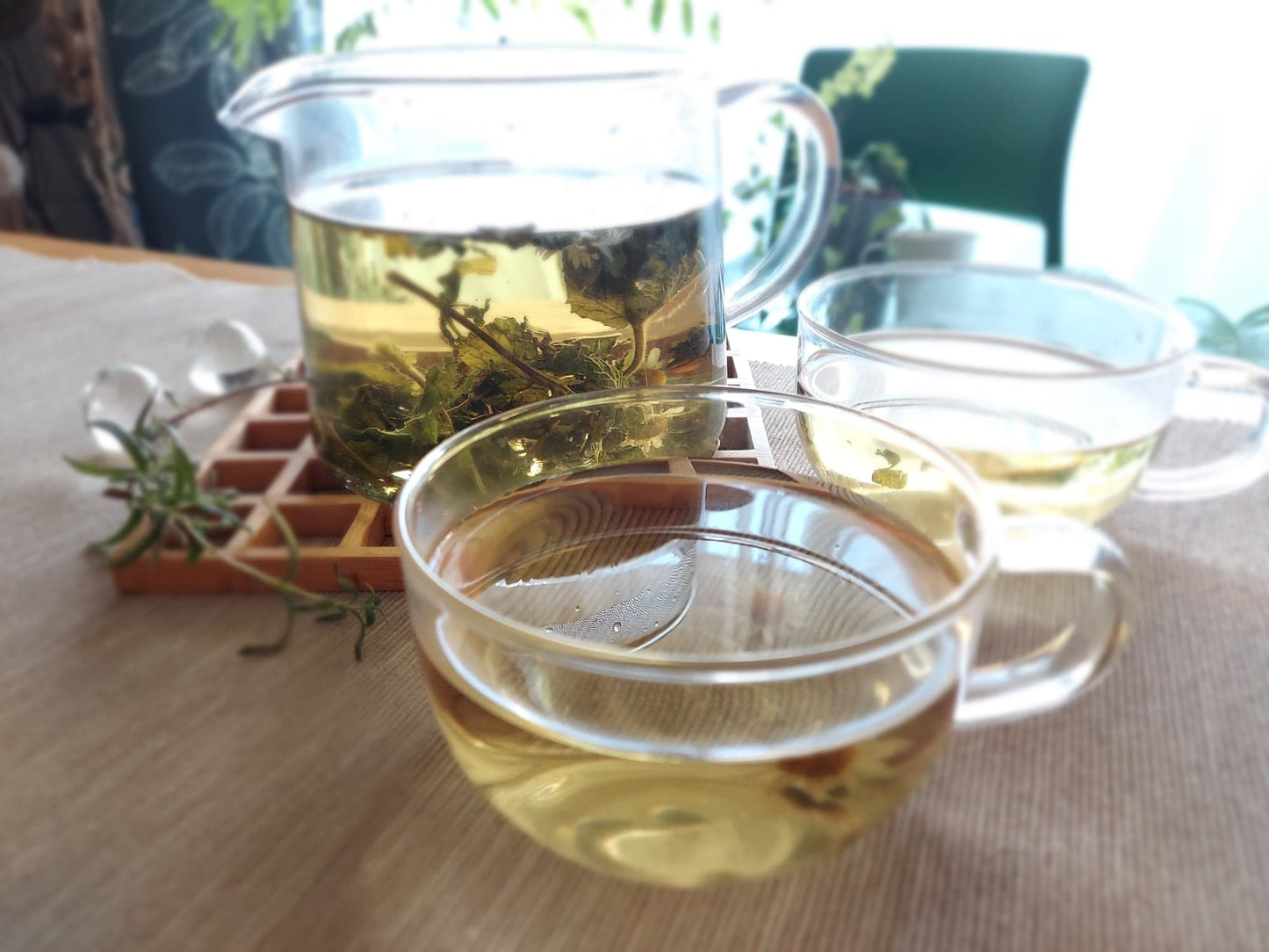 Organic herbal tea grown in snow country
