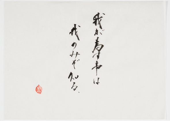 Calligraphy "Only I Know What I Do"